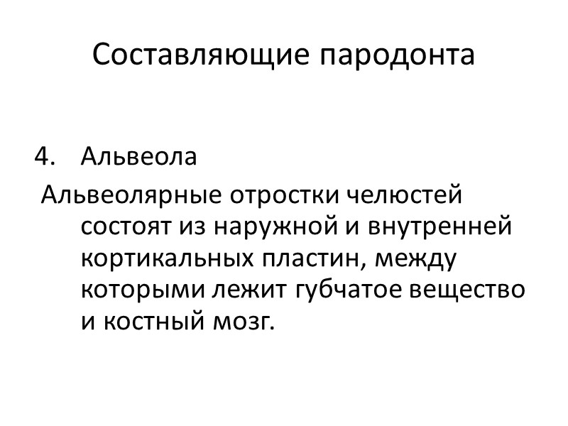 Составляющие пародонта  Альвеола  Альвеолярные отростки челюстей состоят из наружной и внутренней 